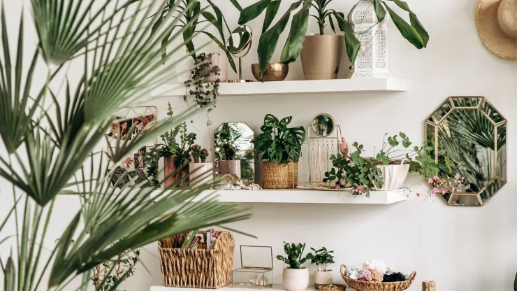 Tendencia en plantas 2026: espacios pequeños se llenan de verde con estantes, macetas colgantes y plantas variadas.