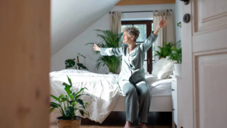 Las 4 plantas que puedes poner en tu habitación