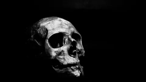 Restos humanos en Long Island