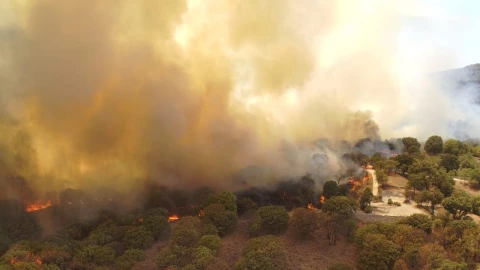 Brigadistas trabajan para combatir el incendio en el Bosque la Primavera.