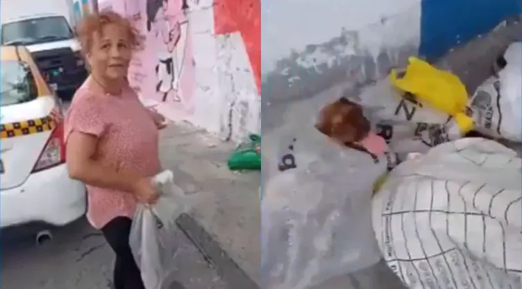 mujer-intenta-abandonar-cuatro-cachorros-costales-nuevo-leon-lograron-rescatarlos
