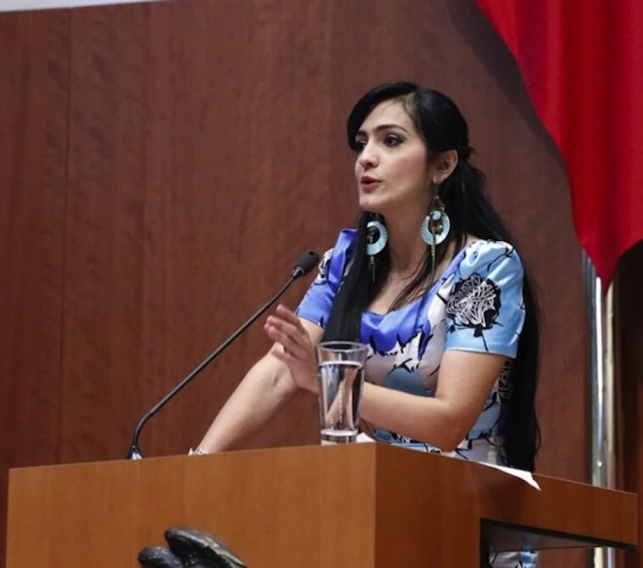 La senadora del PRD, Iris Vianey Mendoza