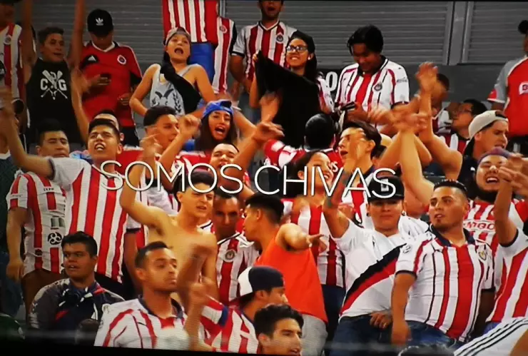 chivas