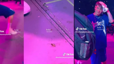 peso-pluma-cucaracha-coble-p-concierto-escenario