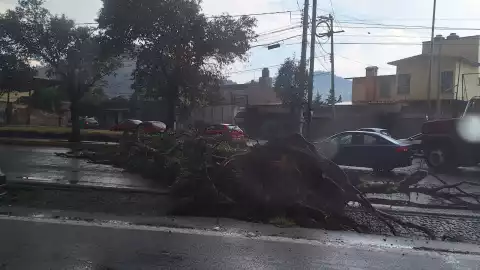 tornado toluca hoy 23 de mayo 2024 foto.jpeg