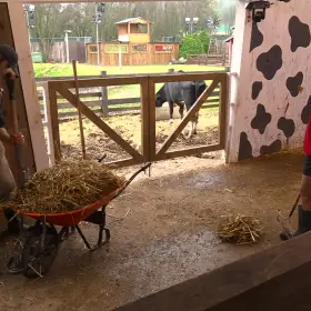 “No le creo nada a Niurka”: Fernando Lozada y “El Mono” Osuna CUESTIONAN su juego en La Granja VIP