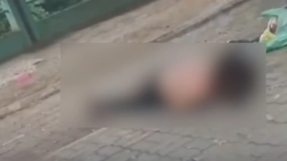 Video mujer atacada por abejas Brasil