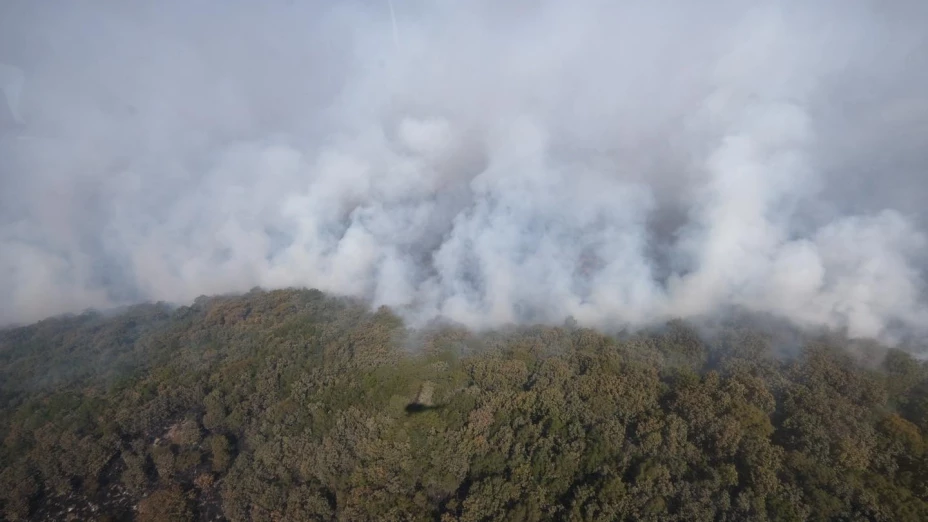 Incendio en Bosque de la Primavera Guadalajara 23 de febrero