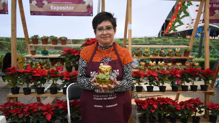 Venta de flores de nochebuena en Reforma