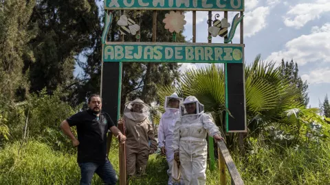 Abejas de Barrio recibe a sus visitantes en la chinampa del apiario.