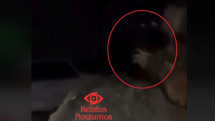 aterradora criatura acecha a niños jugando a las escondidas en veracruz video