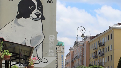 perrito calle niños