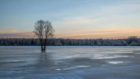 ¿Cuáles son los estados que tienen alerta por frío y heladas el 4 y 5 de noviembre en México Esto dice el pronóstico del tiempo