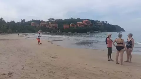 Reportan doble ataque de tiburón en playas de México; hay un muerto