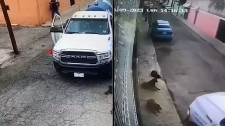 Pipa de gas arrolla a un perrito callejero en Hidalgo