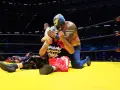 AAA vs Empresa Triplemania 29