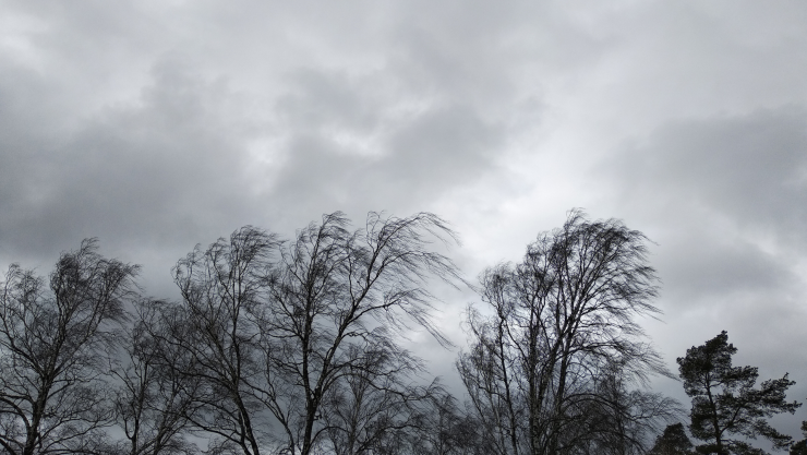 Clima en Morelia hoy, 12 de enero de 2025 Conoce el pronóstico por horas y el índice UV para hoy .png