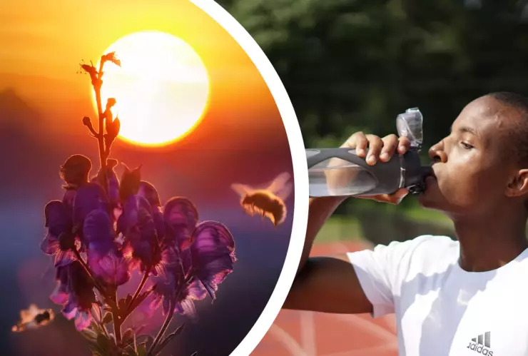 Calor extremo hoy en Tijuana: Descubre a qué hora alcanzará su momento más caliente