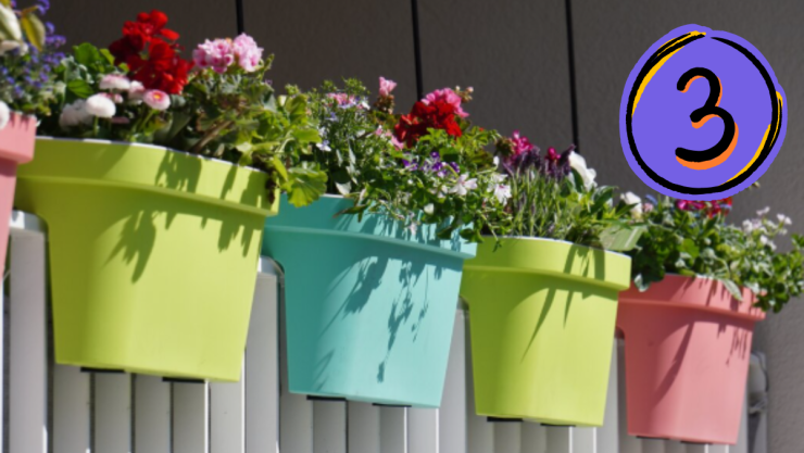 /estilo-de-vida/3-árboles-ideales-decorar-balcón