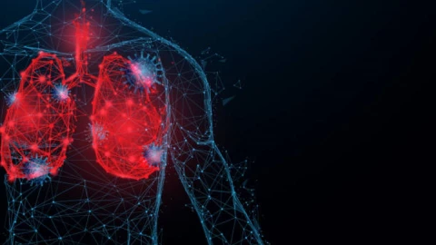 melatonina pulmonar.jpg