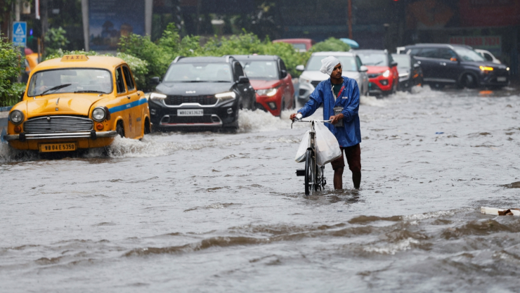 im&aacute;genes DANA