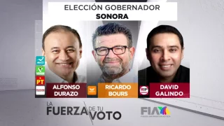 Elecciones 2021, Qué se elige en Sonora