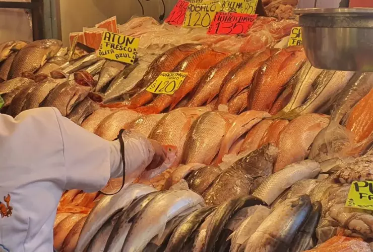 pescados cuaresma profeco.jpg