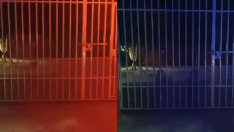 Niños fantasmas en Nayarit