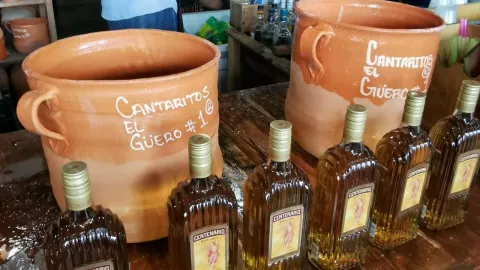 Cantaritos gigantes en CDMX donde estan