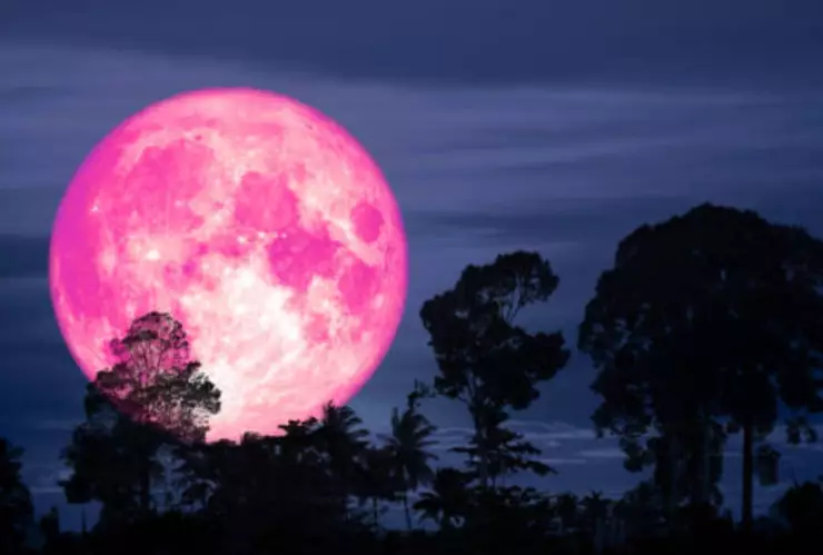¡ATENCIÓN! Esta es la FECHA para la próxima SUPERLUNA de FRESA; datos curiosos