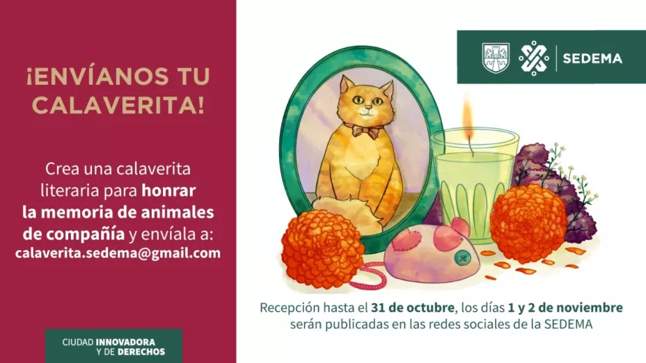 Lanzan concursos de calaveritas literarias para fomentar el bienestar de animales de compañía.jpeg