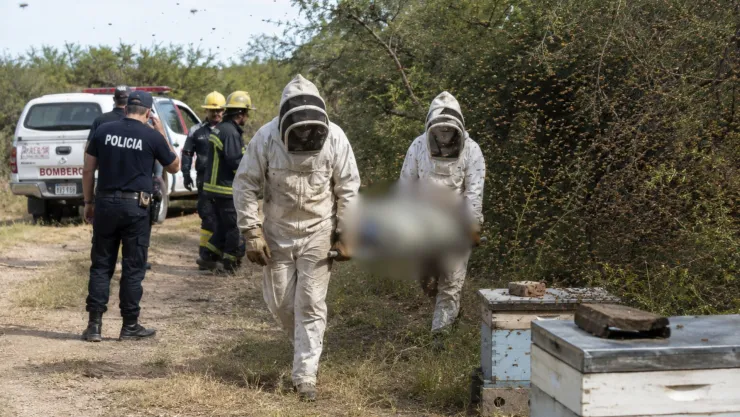 Abuelito muere tras ser atacado por un enjambre de abejas; estaba rodeado por miles de ellas