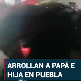 arrollan papa hija.jpg