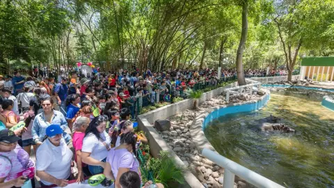 llega pareja de hipopótamos.jpg