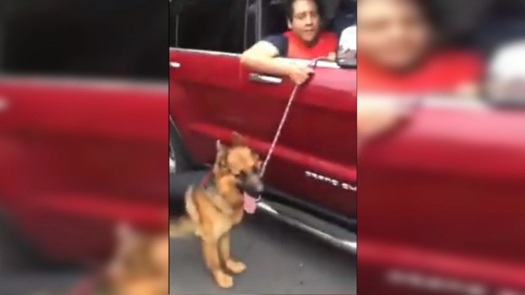 Hombre pasea a su perro desde su camioneta