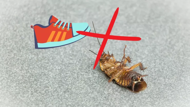 Un tenis a punto de pisar una cucaracha en el suelo.