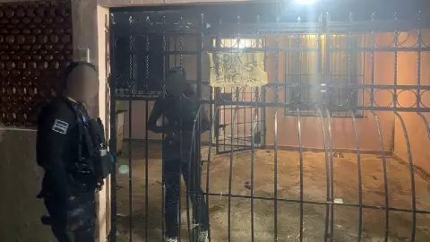 Rescatan a perritos en Cancún por posible maltrato animal y detienen al dueño.jpg