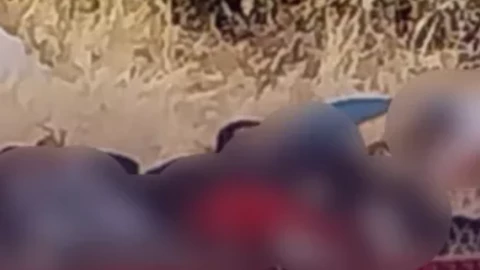 cuerpos huehuetlán.png