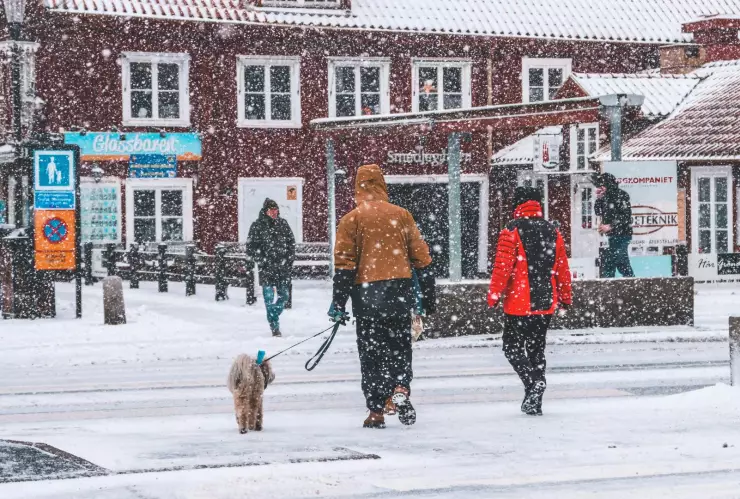 Bajas temperaturas en Querétaro
