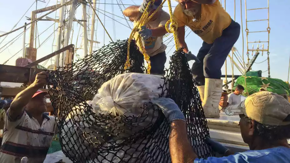 260226 AGRICULTURA CONAPESCA VE.jpg