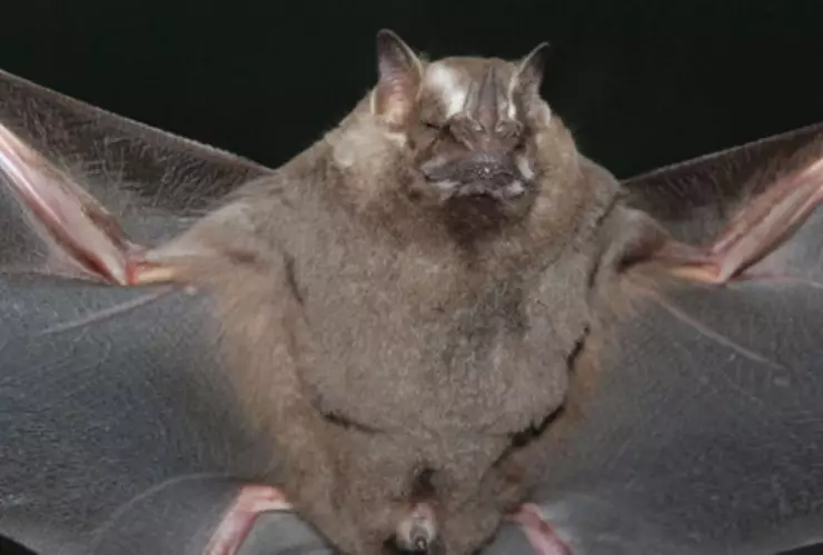 (c) Arthur Tahara, algunos derechos reservados (CC BY-NC-ND).jpg