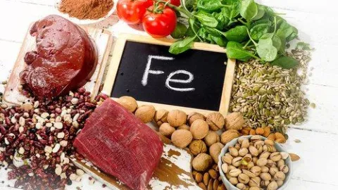 Los alimentos ricos en hierro son indispensables durante la fase menstrual