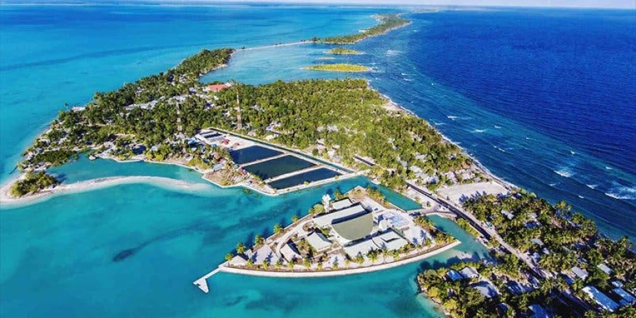 isla de Navidad ubicada en República de Kiribati