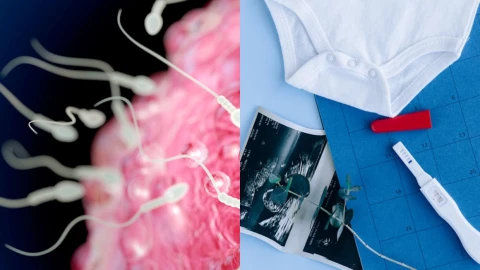 la diabetes afecta la fertilidad en los hombres UNAM