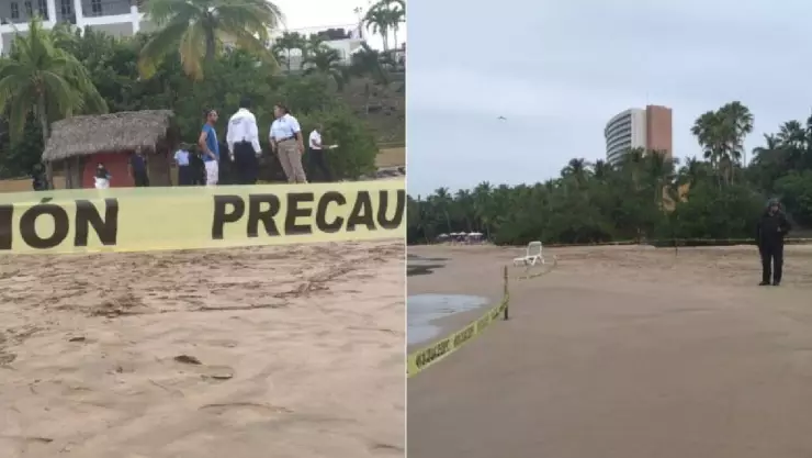 Nuevo ataque de tiburón en el pacífico mexicano; la segunda víctima en diciembre