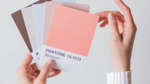 Cuál es el color Pantone 2025.png