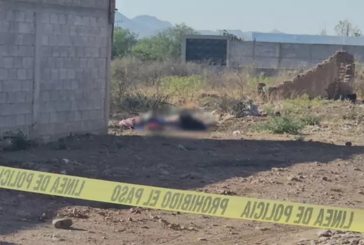 sin vida granjas del valle.jpg