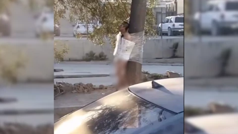 Amarran de un árbol a hombre y lo exhiben por infiel en Tijuana, video viral.png