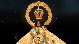 288 edición de la romeria de la virgen de zapopan
