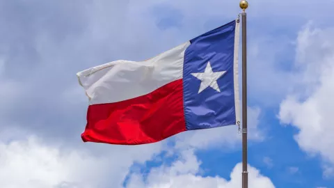 La bandera de Texas.